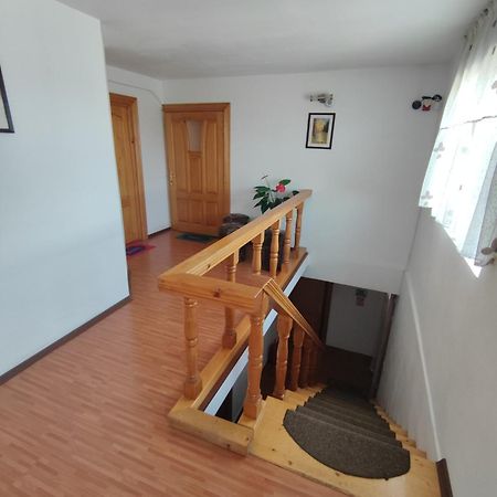Camere De Inchiriat Edelweiss Dumbrava Rosie Exterior photo